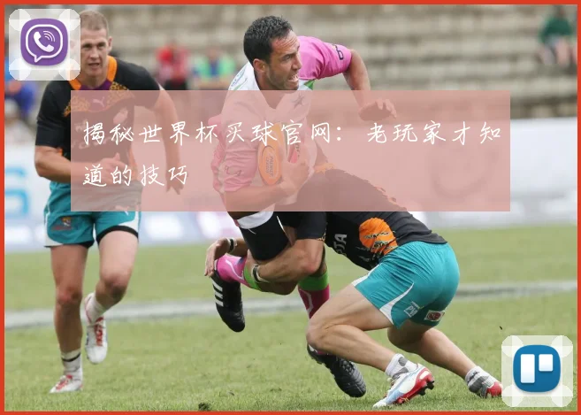 揭秘世界杯买球官网：老玩家才知道的技巧