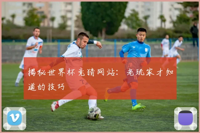 揭秘世界杯竞猜网站：老玩家才知道的技巧